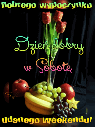 Brokatowe czerwone tulipany sobota